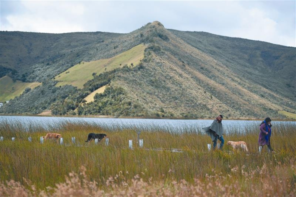 Minagricultura planea cambiar la frontera agrícola. Hay críticas en el sector ambiental