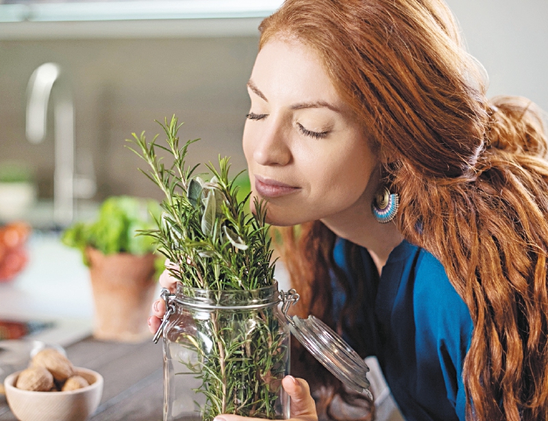 El tamaño del bulbo olfatorio no tendría que ver con la capacidad del sentido del olfato, según el científico McGann. / iStock