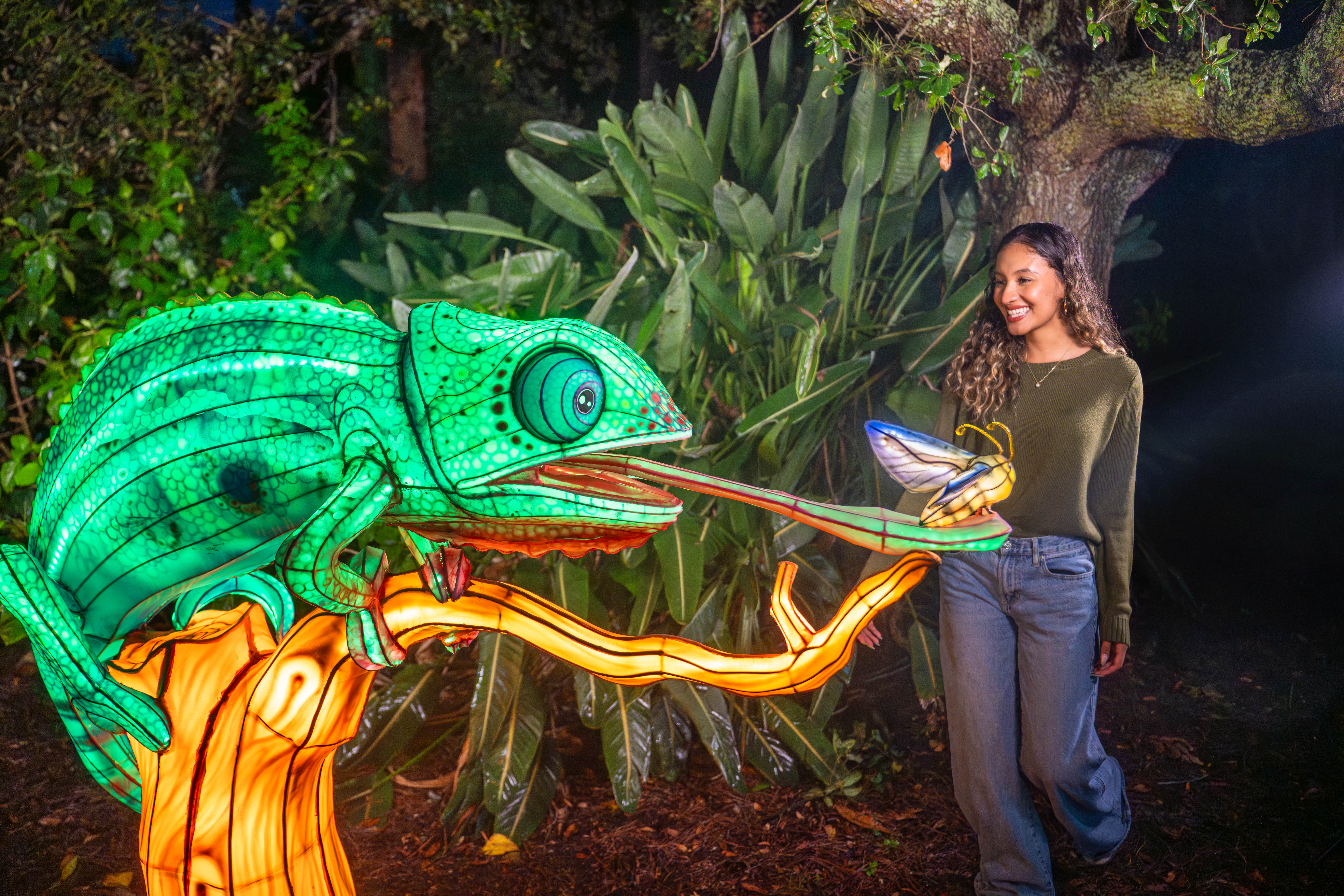 Aquatica Orlando estrena Illuminate, su primer festival nocturno de linternas
