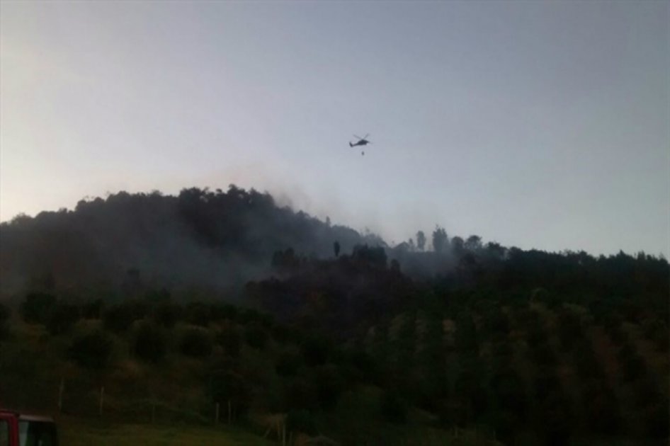 Foto tomada de Caracol Radio