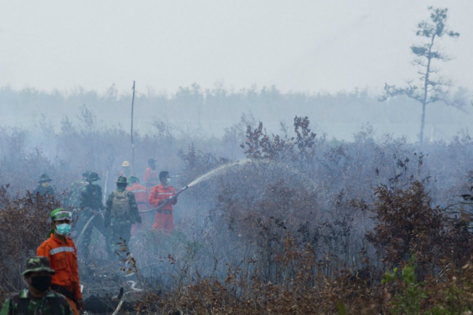 Los incendios forestales en Indonesia podrían ser los peores jamás registrados