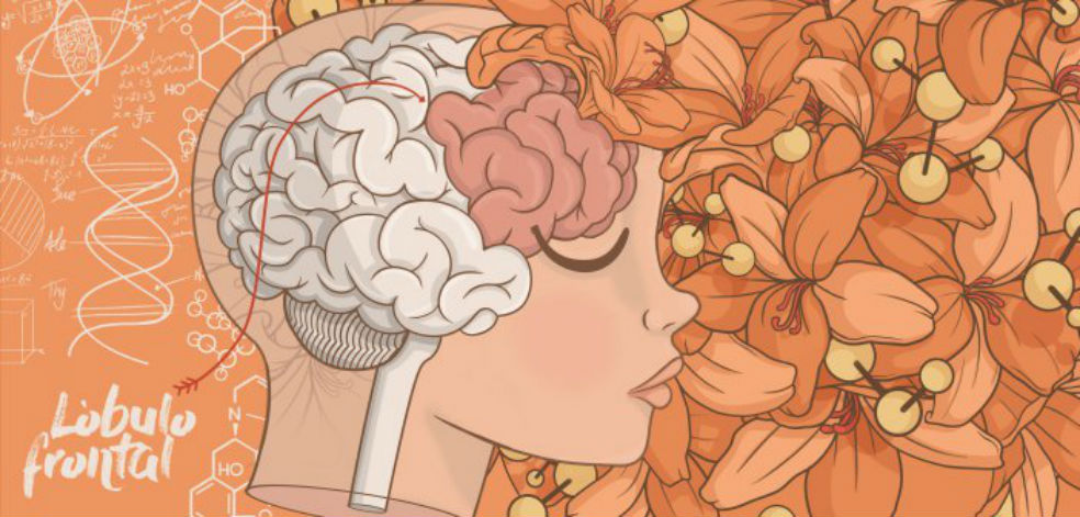 Los secretos de una enfermedad cerebral poco conocida