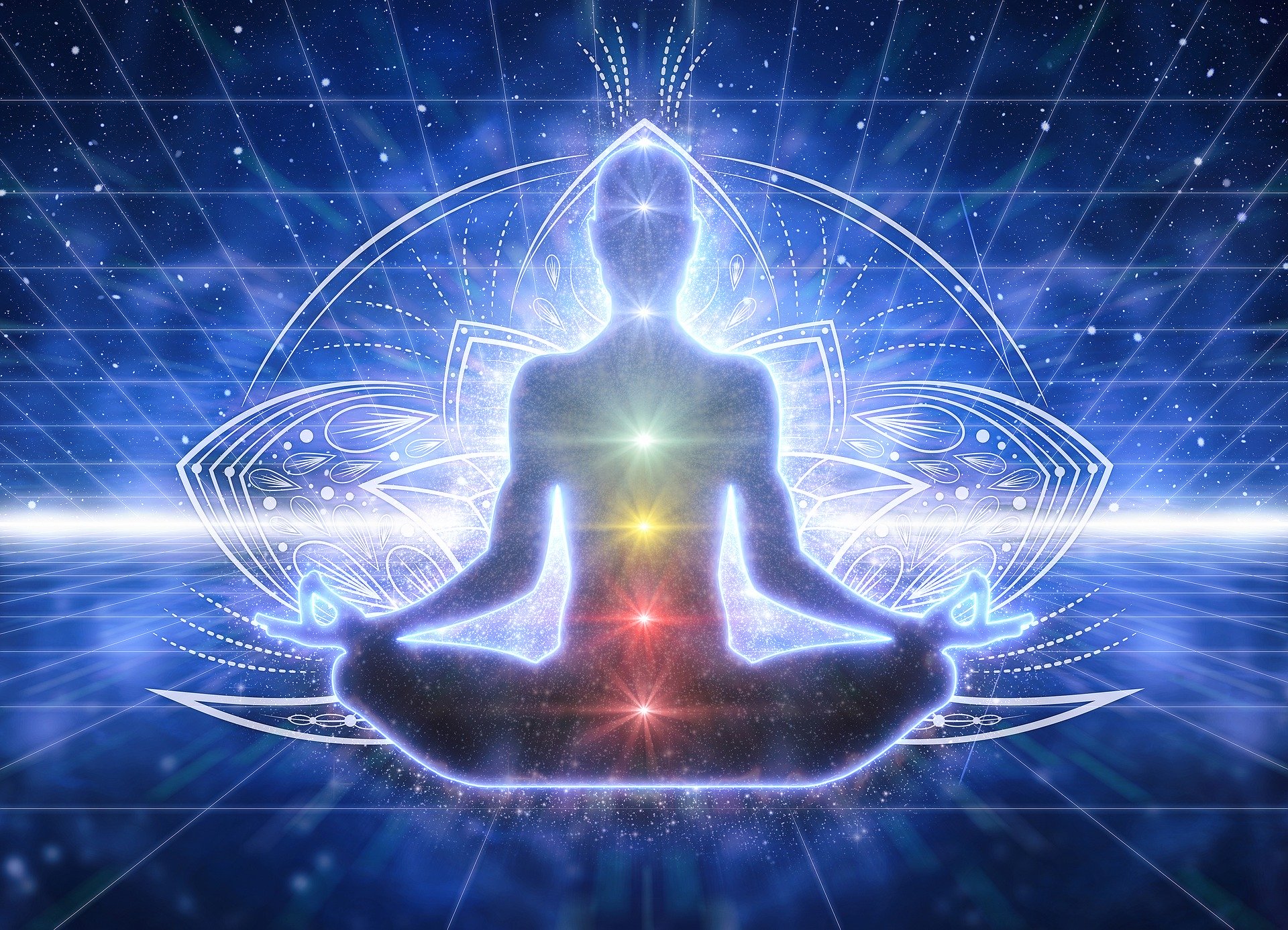 Los chakras ubicados en la columna vertebral y se diferencian por colores.