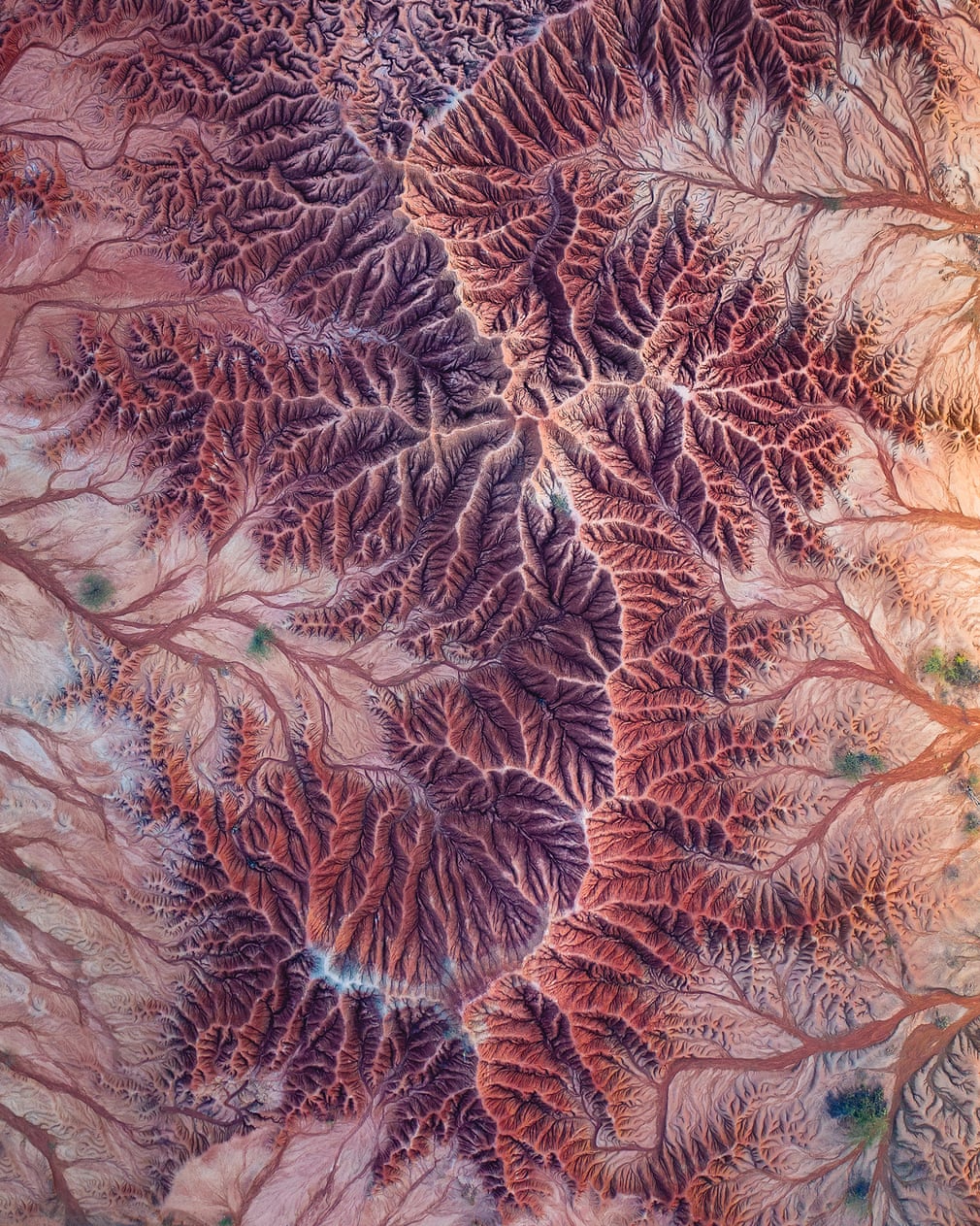 El fotógrafo belga de drones Johan Vandenhecke tomó esta imagen del desierto de la Tatacoa en Colombia al atardecer.