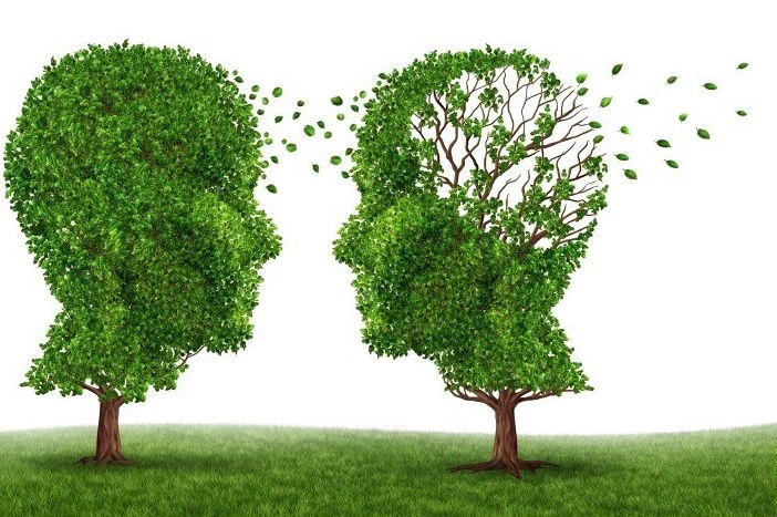 Diseñan una herramienta para determinar el riesgo de Alzheimer