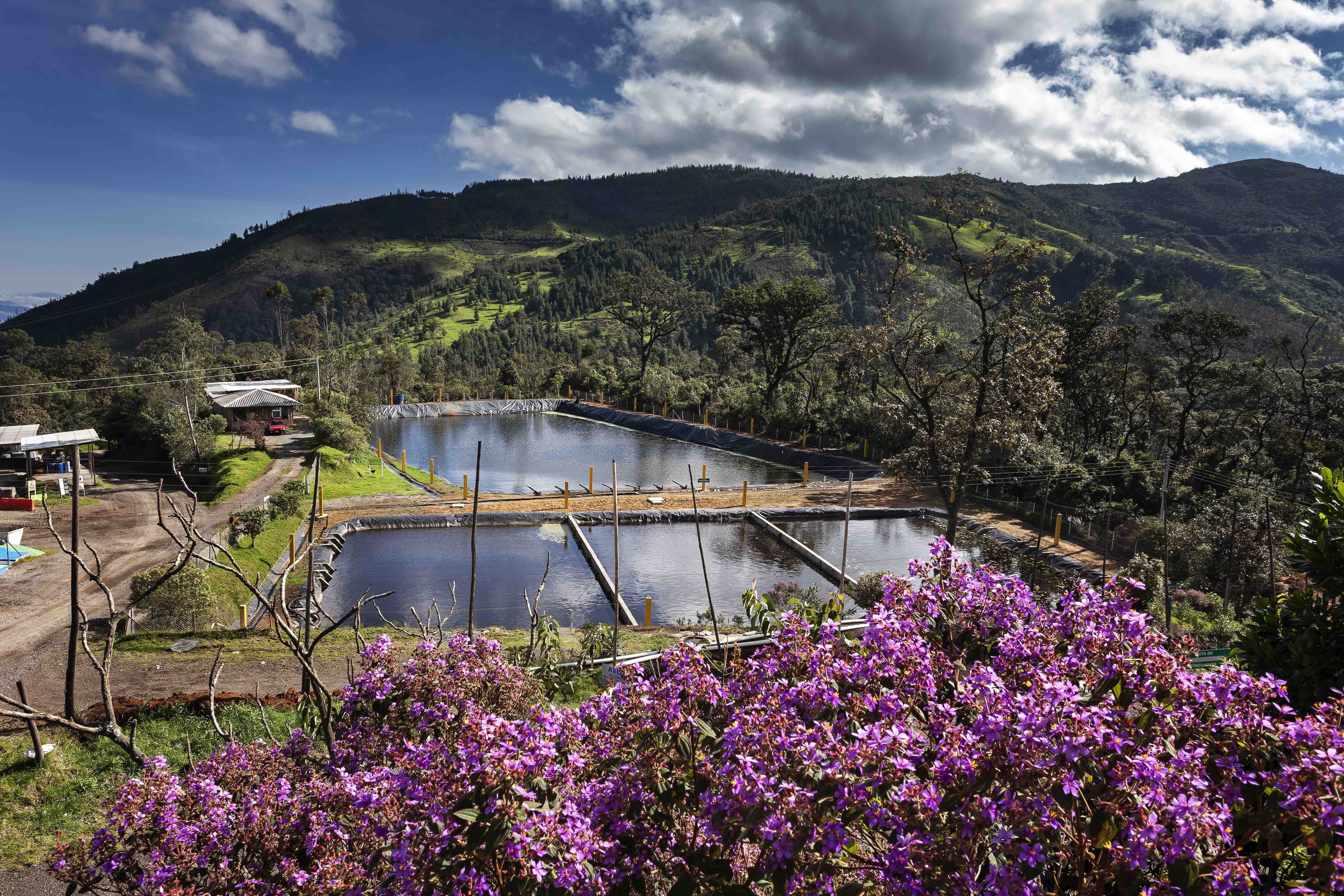 Innovación tecnológica aplicada a los Parques Tecnológicos Ambientales