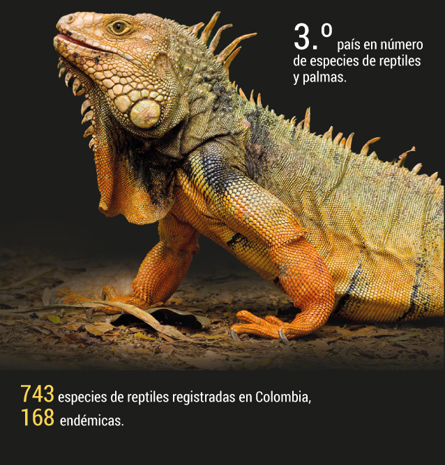 Colombia, destino ecoturístico por naturaleza.