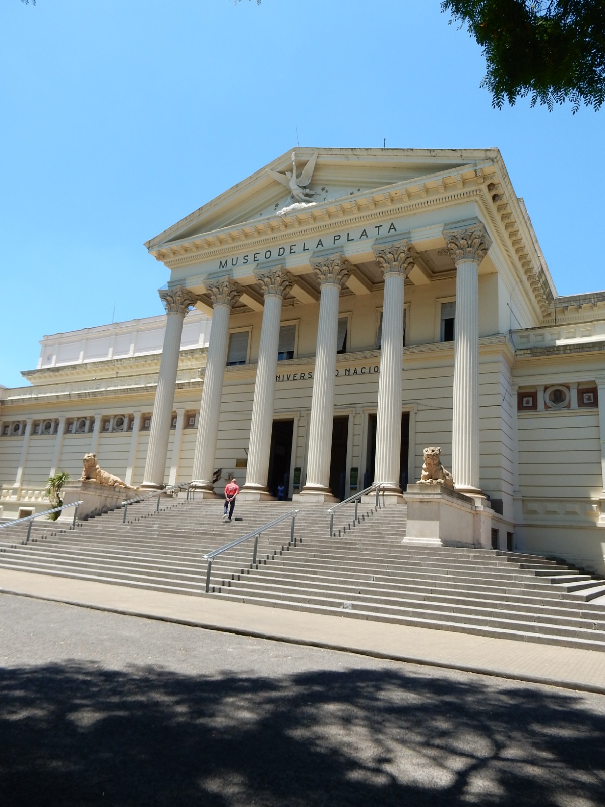 El Museo de la Plata y las colecciones arqueológicas