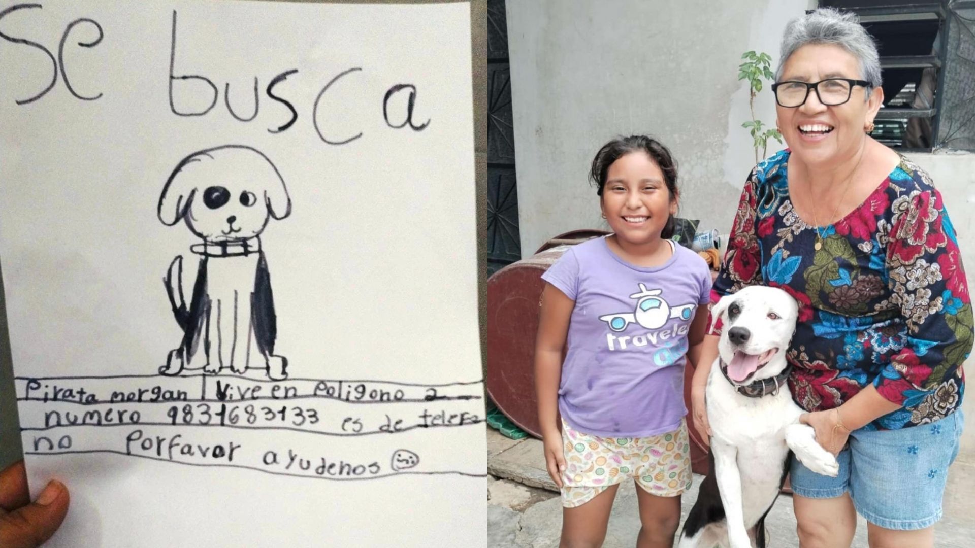 Gracias a este tierno dibujo, abuela pudo recuperar a su perrito perdido