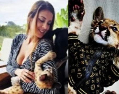 Investigan a DJ que apareció en redes sociales con dos animales silvestres
