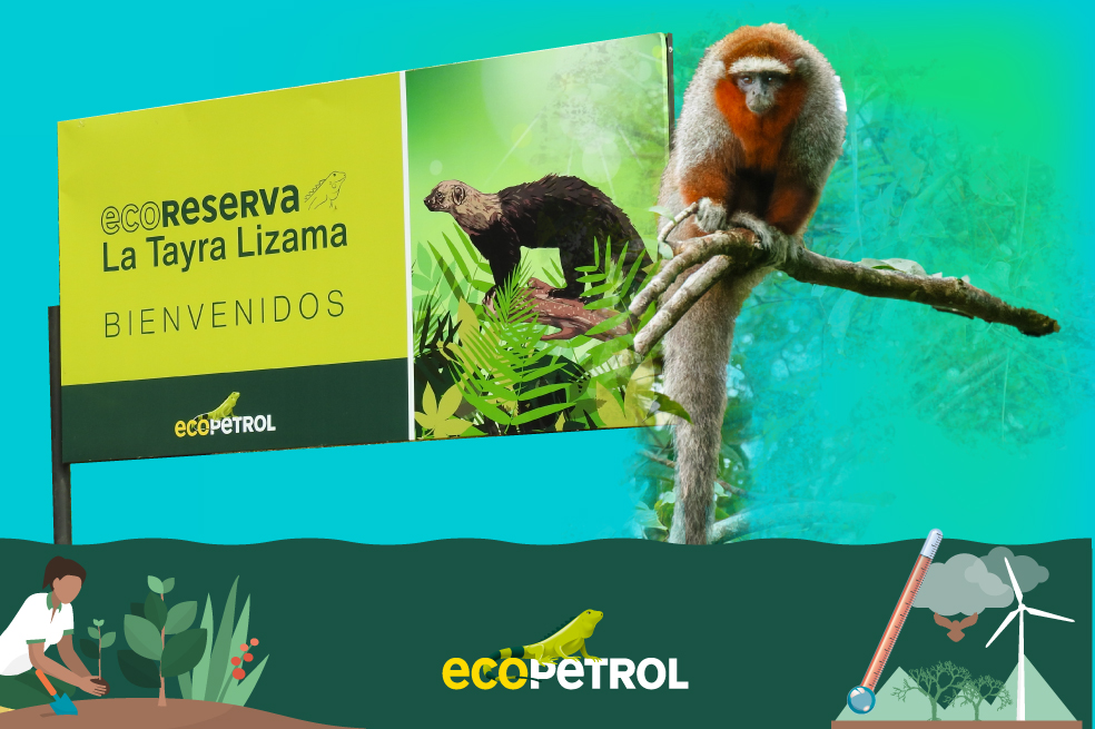 Ecopetrol, comprometido con la sostenibilidad