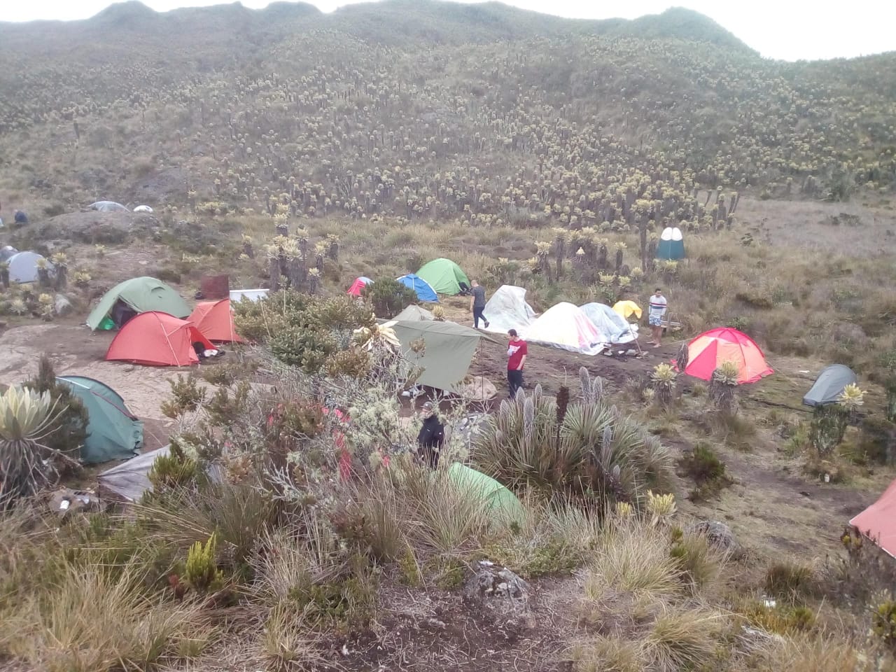 Páramo del sol