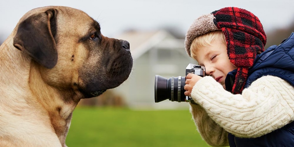 Diez pasos para tomar una foto perfecta