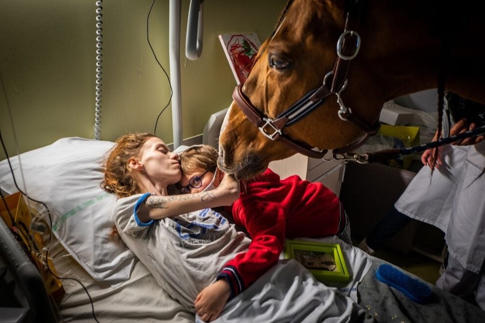 Marion, una paciente de 24 años que padece de cáncer, abraza a su hijo Ethan, de siete años, en presencia de Peyo, un caballo utilizado en terapia asistida por animales.