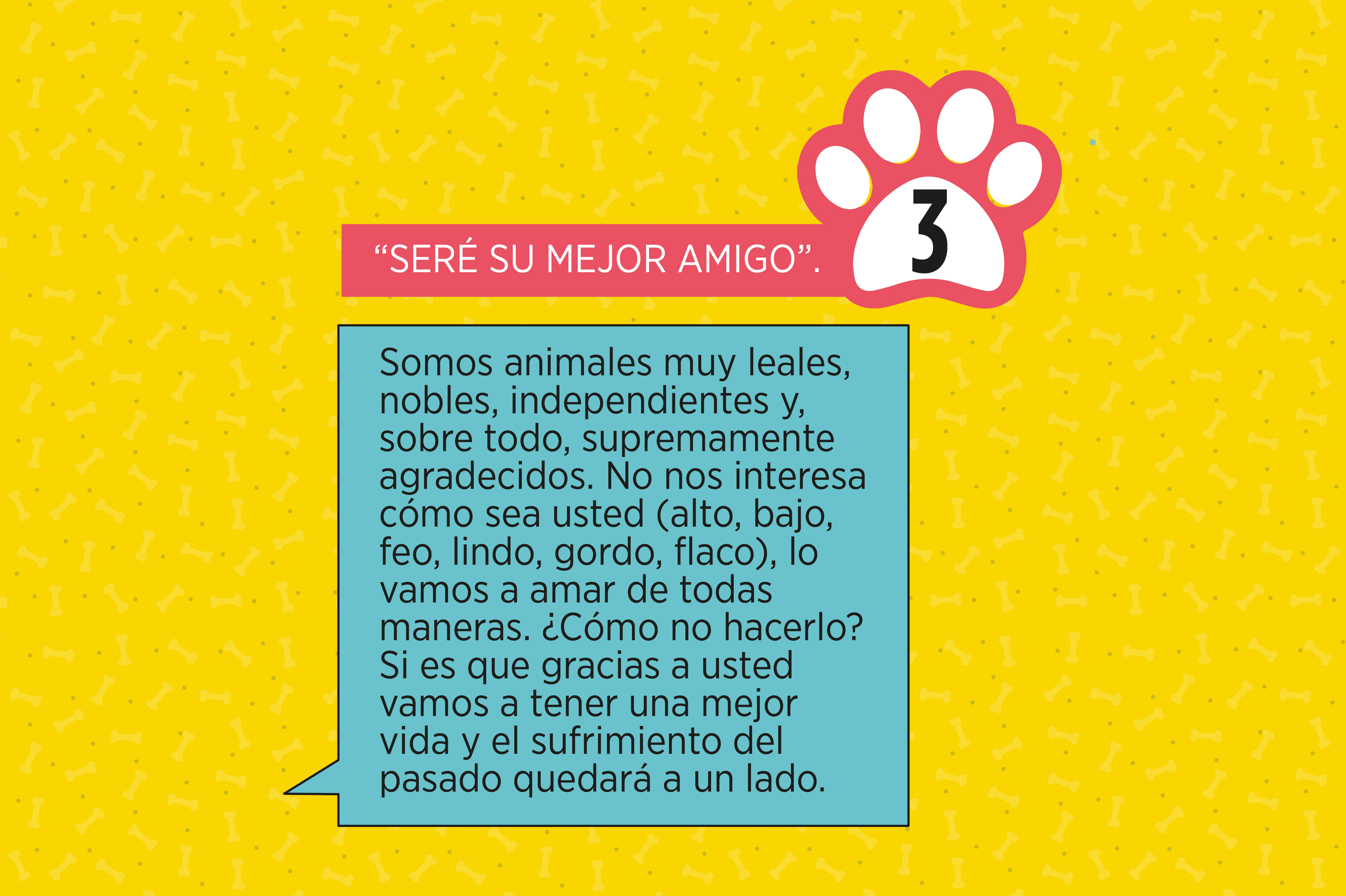 ¡Cinco razones para adoptar un perro criollo!