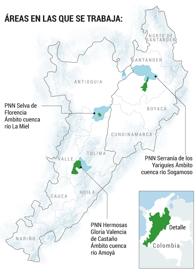 Estas son las áreas en las que se desarrolla el proyecto.