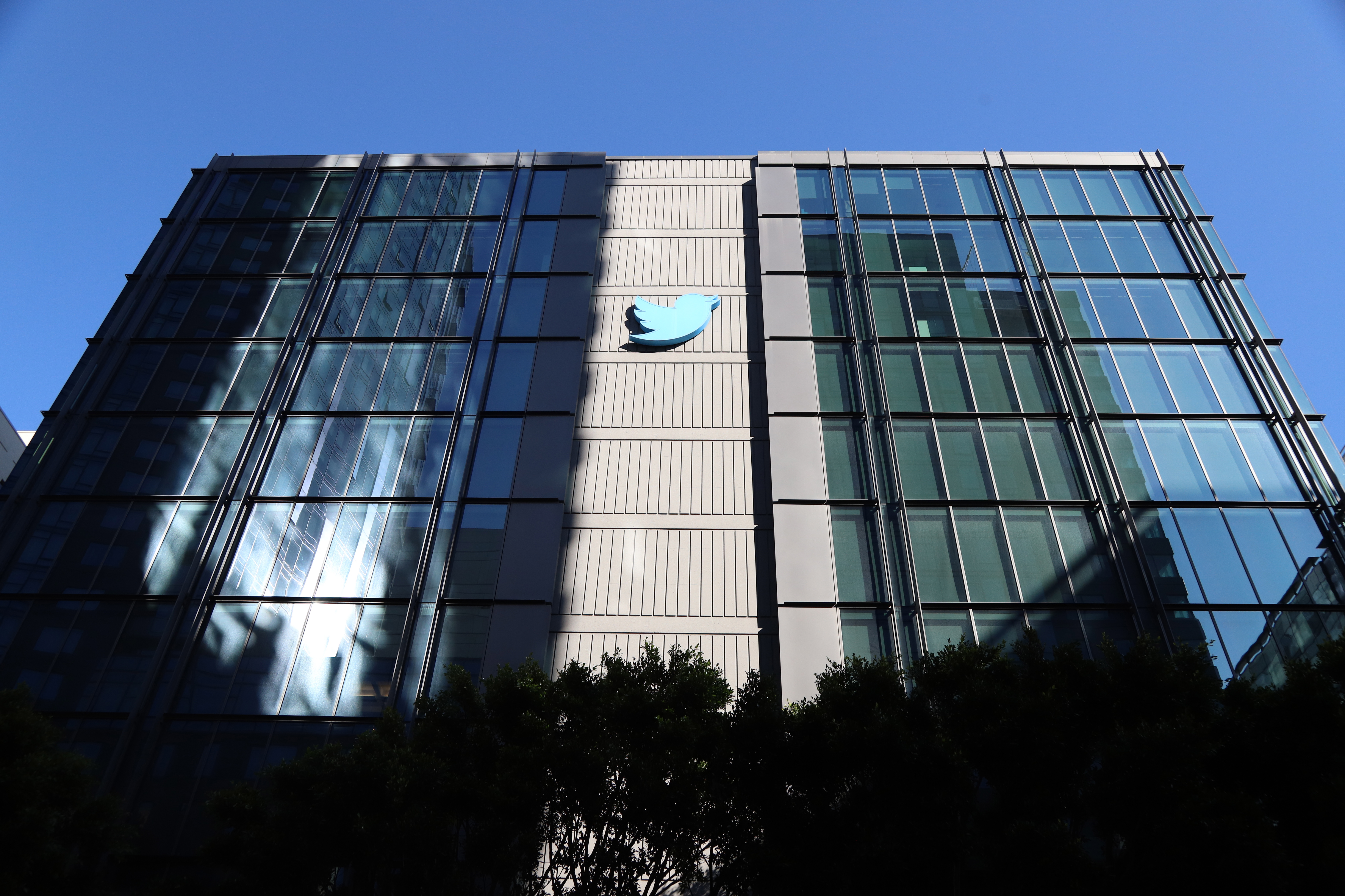 ¿Cómo sería un mundo sin Twitter?