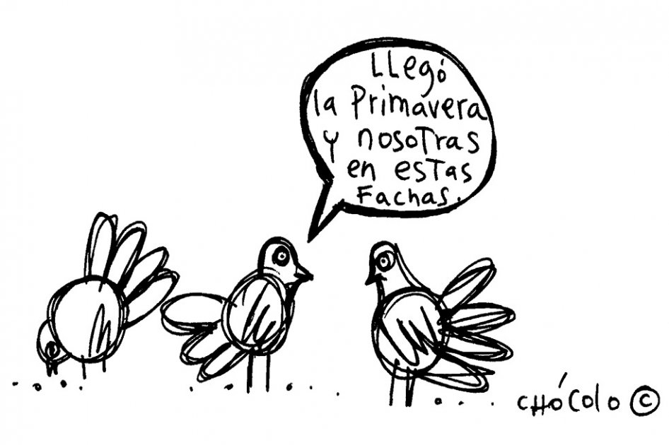 Chócolo