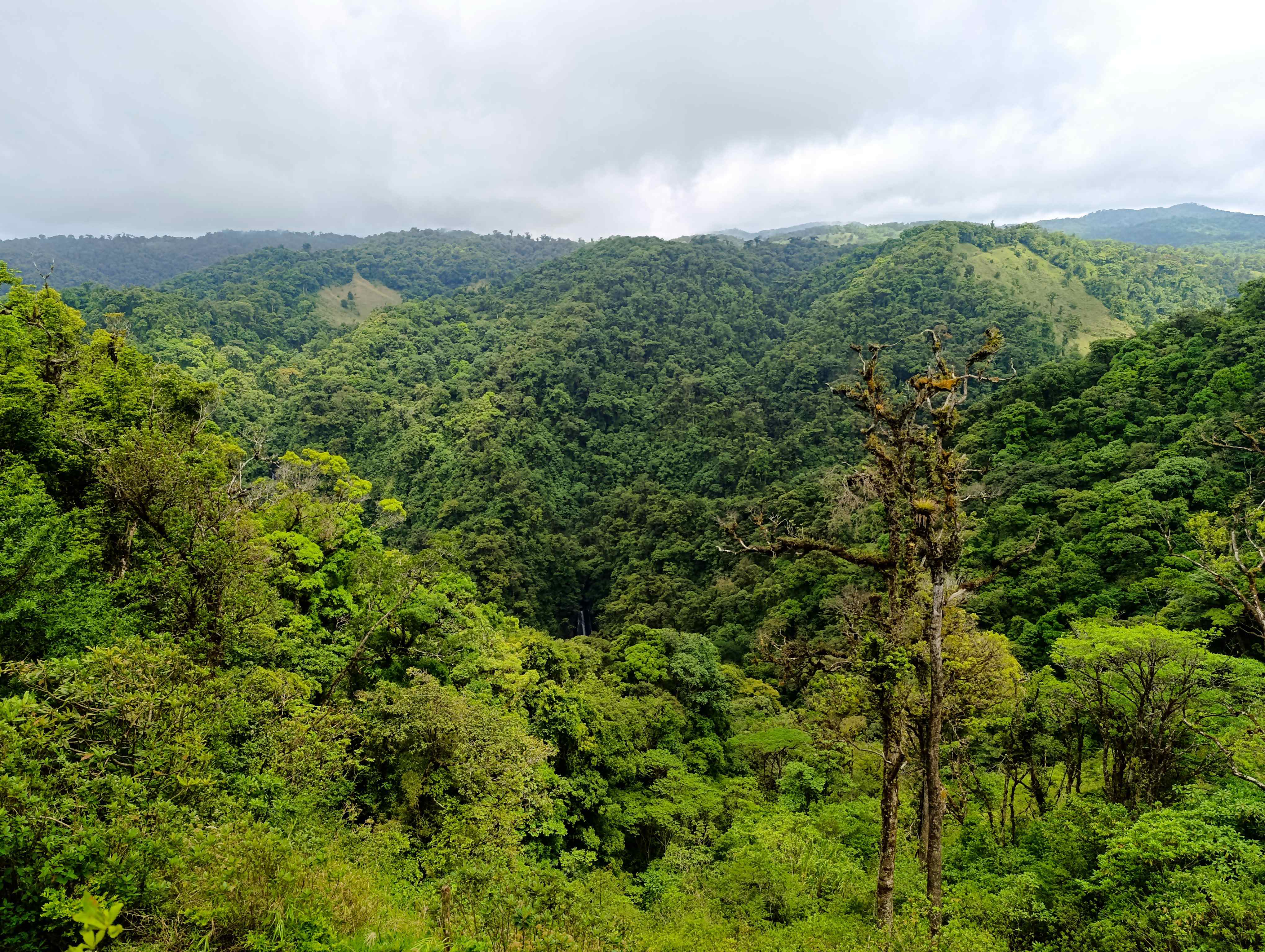 Costa Rica quedó en un ranking como uno de los destinos más felices del mundo: ¿qué resaltó?