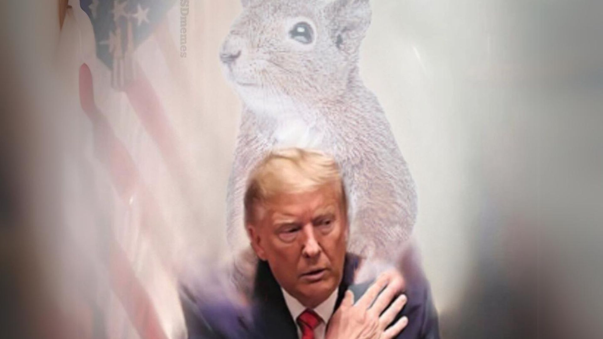 ¿Por qué vinculan la victoria de Trump con una ardilla?
