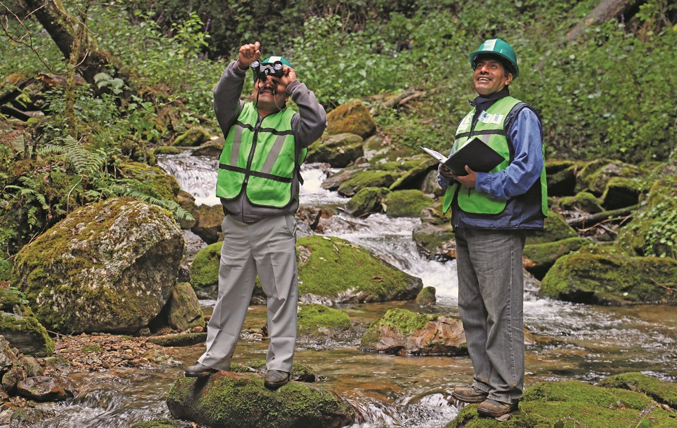 México: bosques comunitarios La comunidad de Macultianguis, en Oaxaca, también realiza monitoreo biológico como parte del manejo forestal comunitario. Foto: Cortesía Conafor.En el norte, centro y sur de México es posible encontrar comunidades —buena parte de ellas indígenas— que, desde la década de los años 80, se organizaron para que el gobierno mexicano dejara de entregar concesiones forestales a empresas privadas. Comunidades de Oaxaca, Durango, Michoacán, Chihuahua y Quintana Roo, sobre todo, comenzaron desde entonces a hacerse cargo de los bosques que se encuentran en sus territorios; fueron pioneras de lo que ahora se conoce como manejo forestal comunitario y que consiste, entre otras cosas, en realizar un aprovechamiento sustentable de la madera de los bosques, así como de otros productos forestales no maderables.
