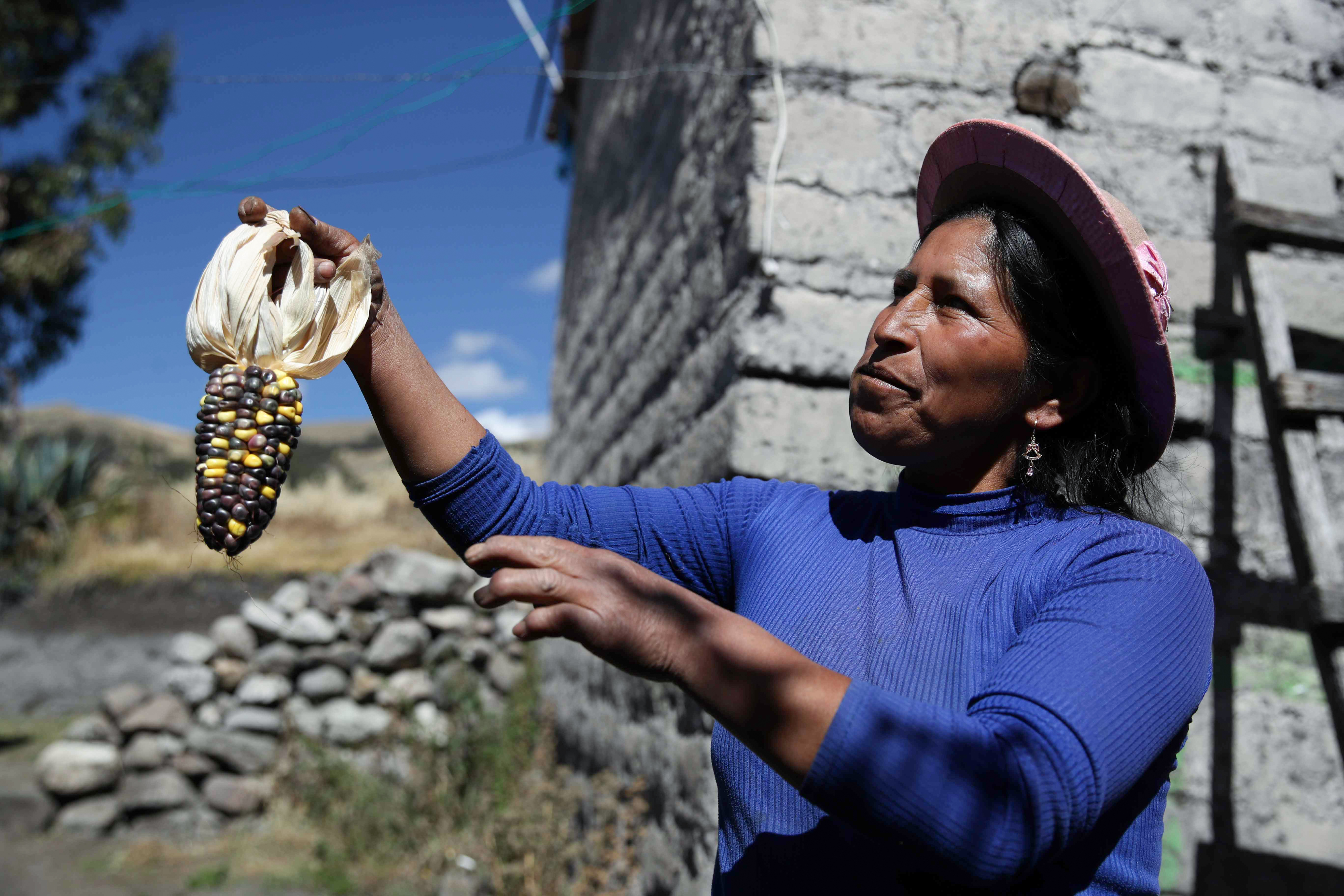 Mujeres rurales en Colombia enfrentan tasas de interés más altas en créditos