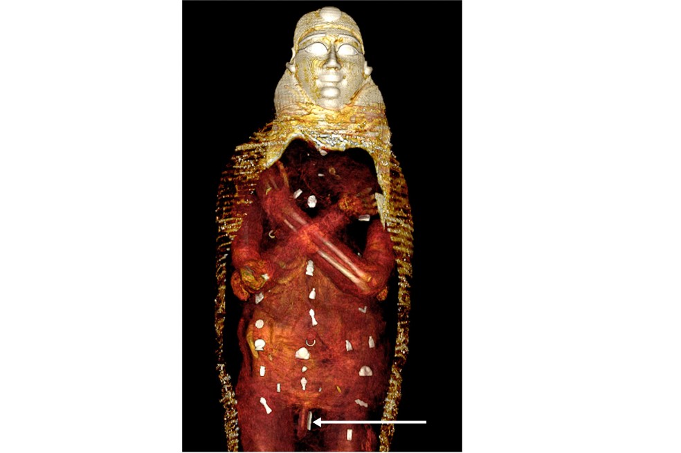 La momia fue encontrada en Egipto.