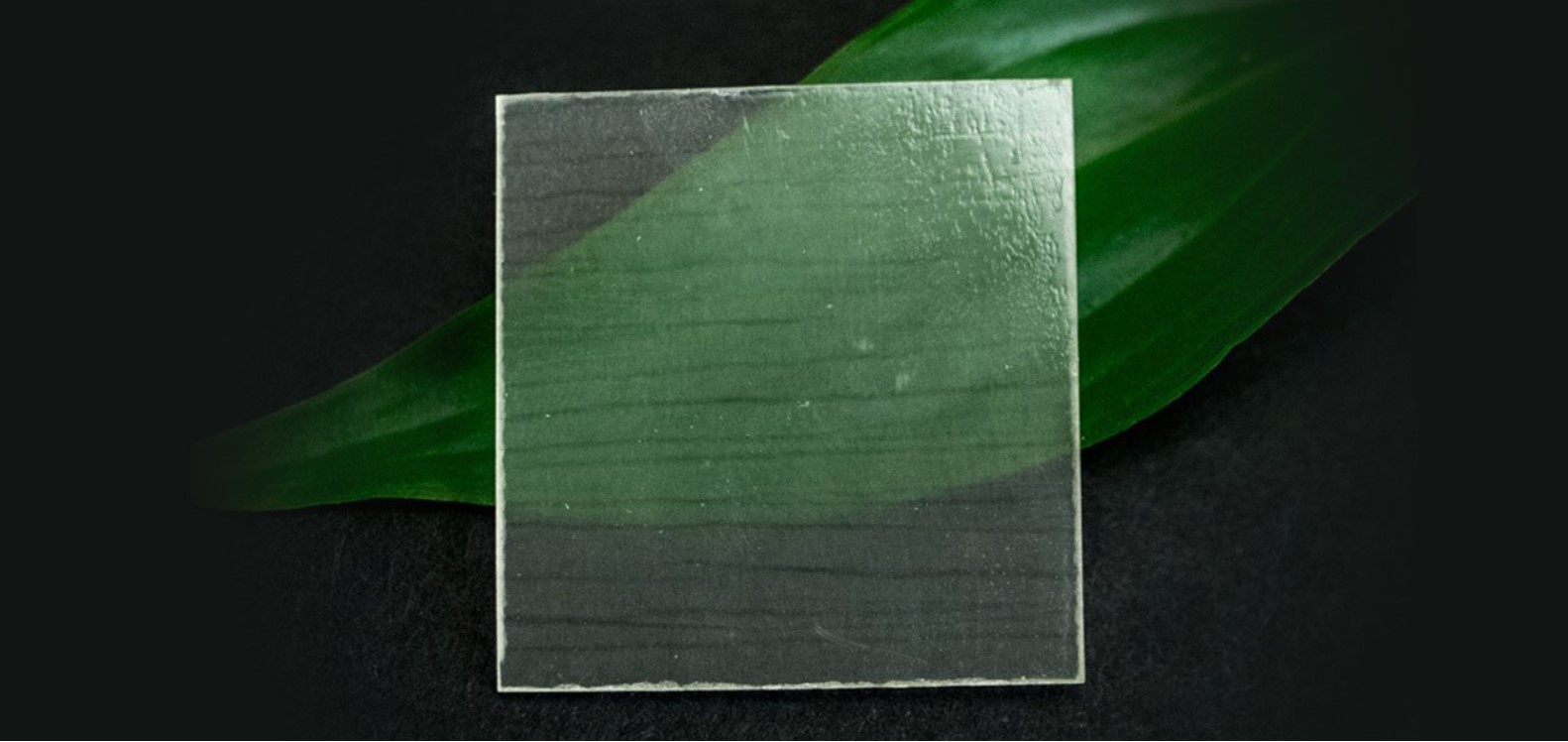 Madera transparente, el material que sería más resistente que el plástico y el vidrio