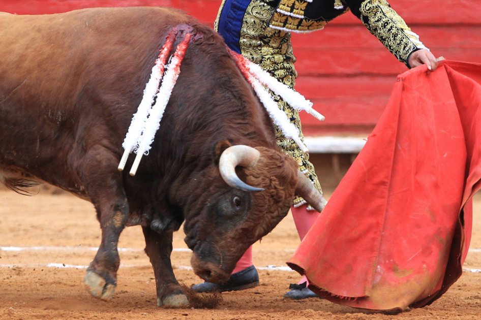 Sin brillo a pesar del sol, segunda de abono