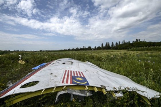 Plantan bosque en memoria de las víctimas del desplome del vuelo MH17