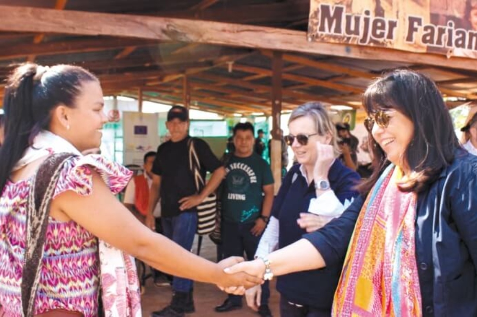 “No dejamos el fusil para dedicarnos al hogar”: mujeres excombatientes