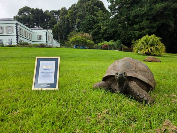 Con 194 años, esta tortuga entra a un selecto grupo de los Récords Guinness