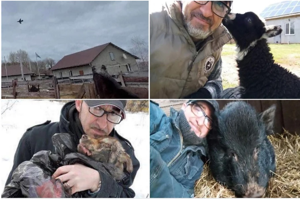 Imágenes del italiano que se quedó en su refugio.
