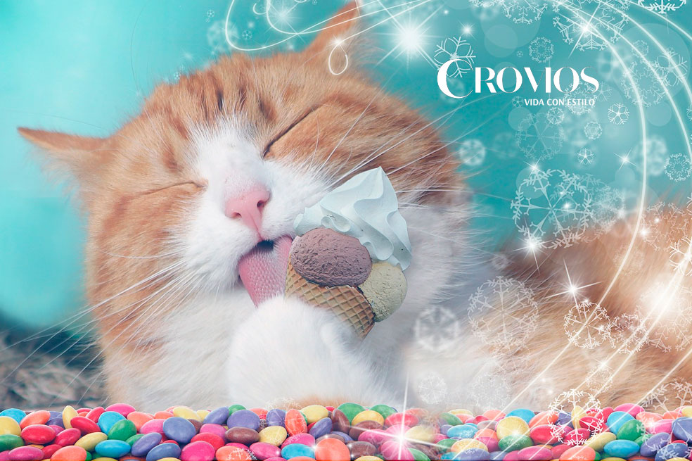 Chocolate, helado, limón y otros alimentos que no deberías darle a tu gato