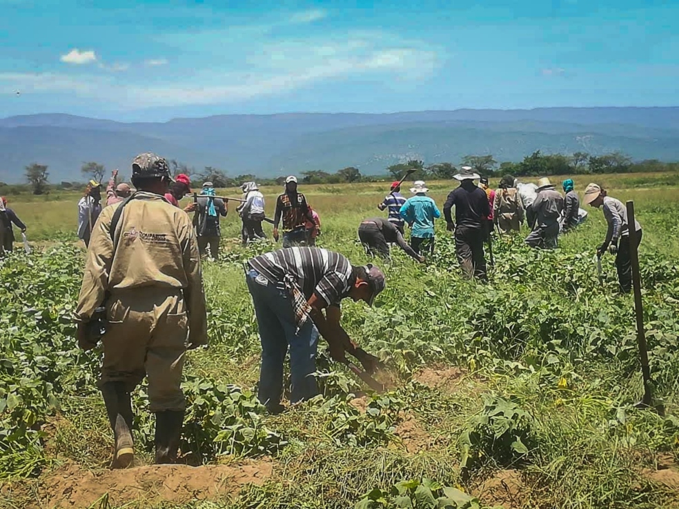 Excombatientes y alcaldía de Barrancas (Guajira) desarrollarán proyectos productivos