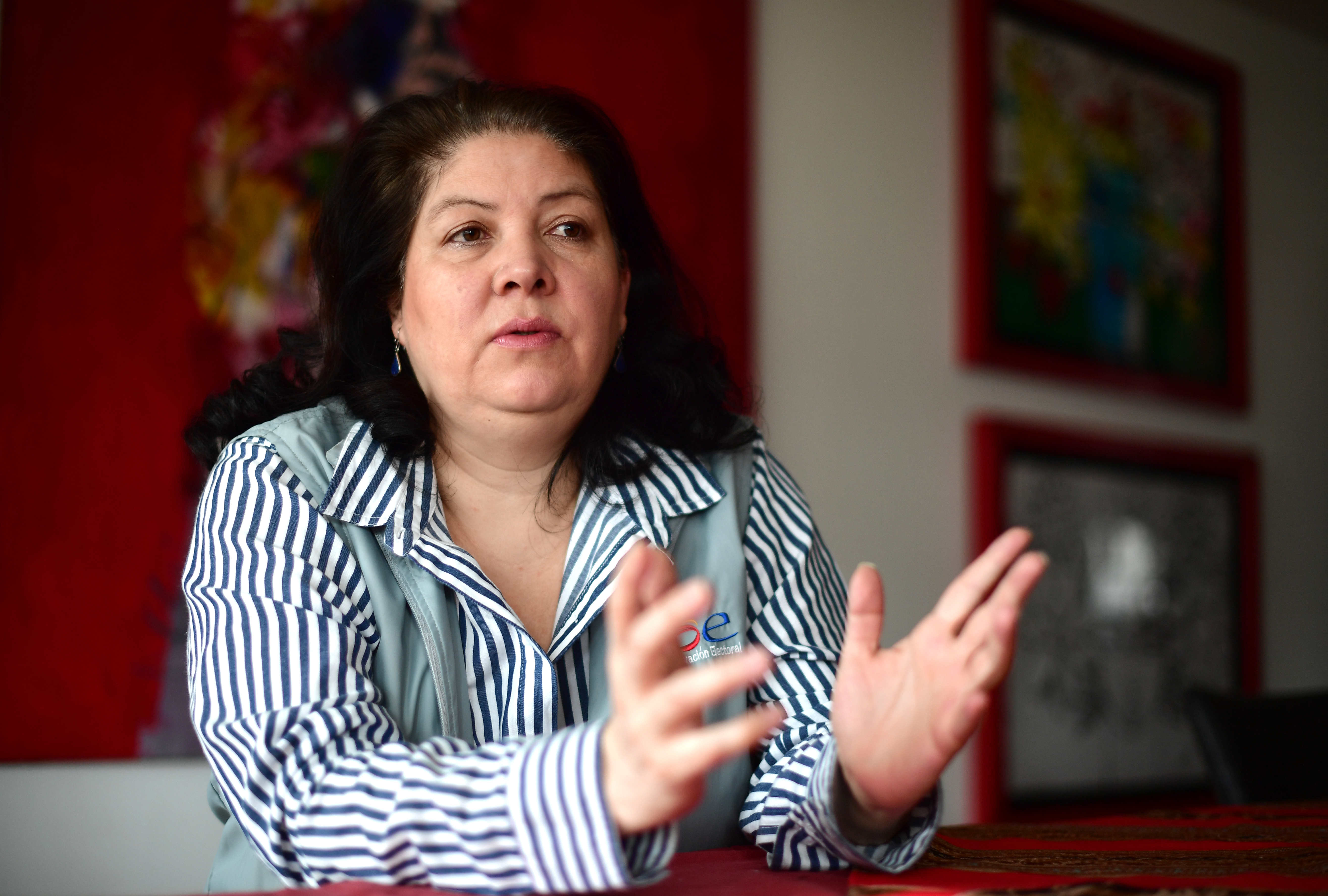 Directora de la Misión de Observación Electoral (MOE).