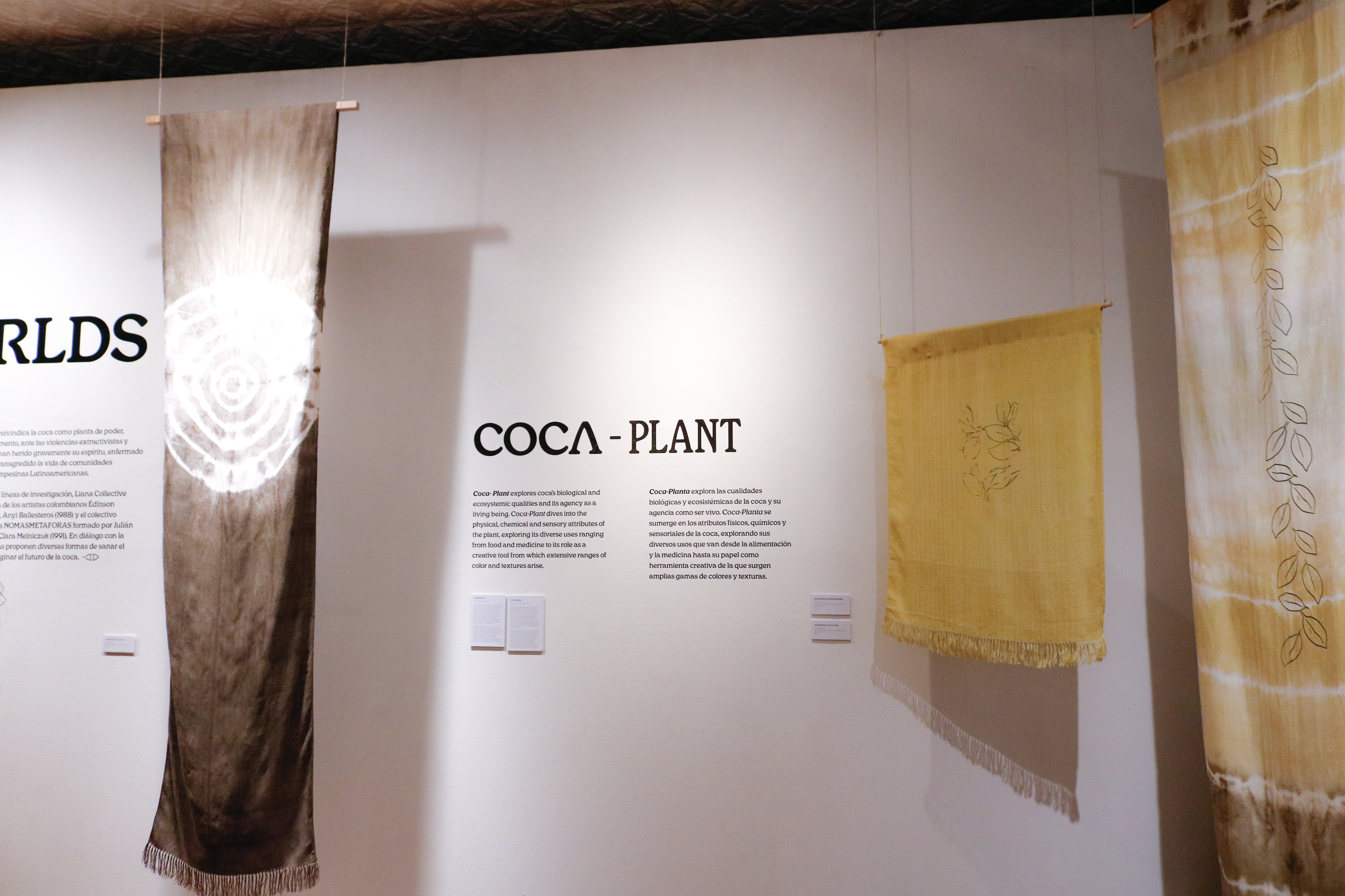 La primera parte de la exposición es 'Coca - plant', en torno a la vida de esta planta.