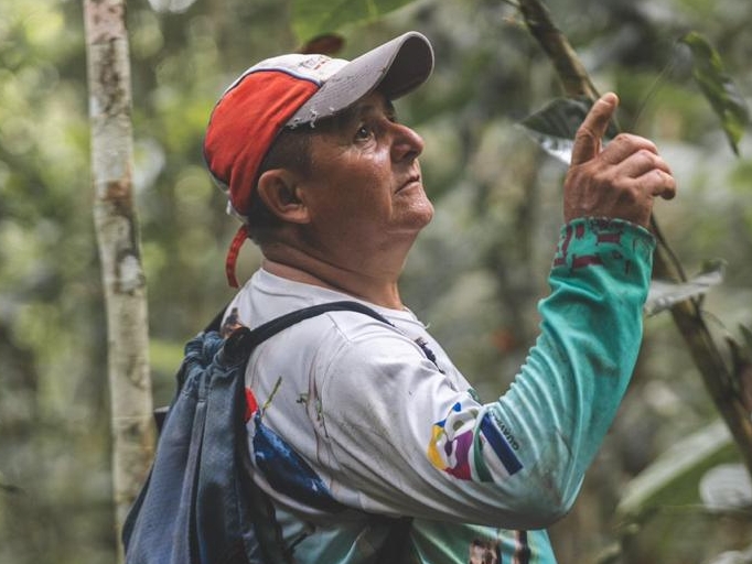 Un campesino de la región enseña la variedad de aves que se pueden encontrar en el sendero Villa Luz. Un lugar con más de 1.500 metros que debe caminarse en profundo silencio y seguridad, con la humedad de la selva en la frente y los zapatos embarrados.