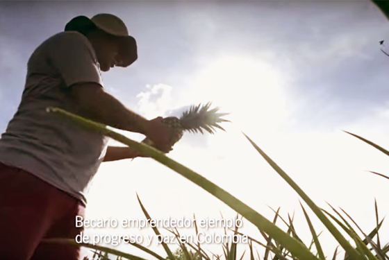 Utopía, un laboratorio para reinventar el campo
