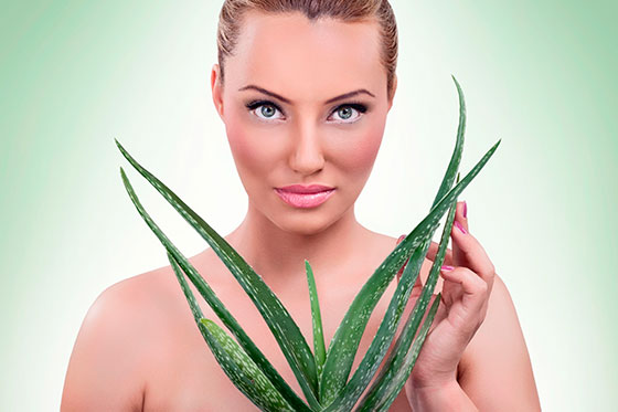 Aloe vera para combatir la gastritis