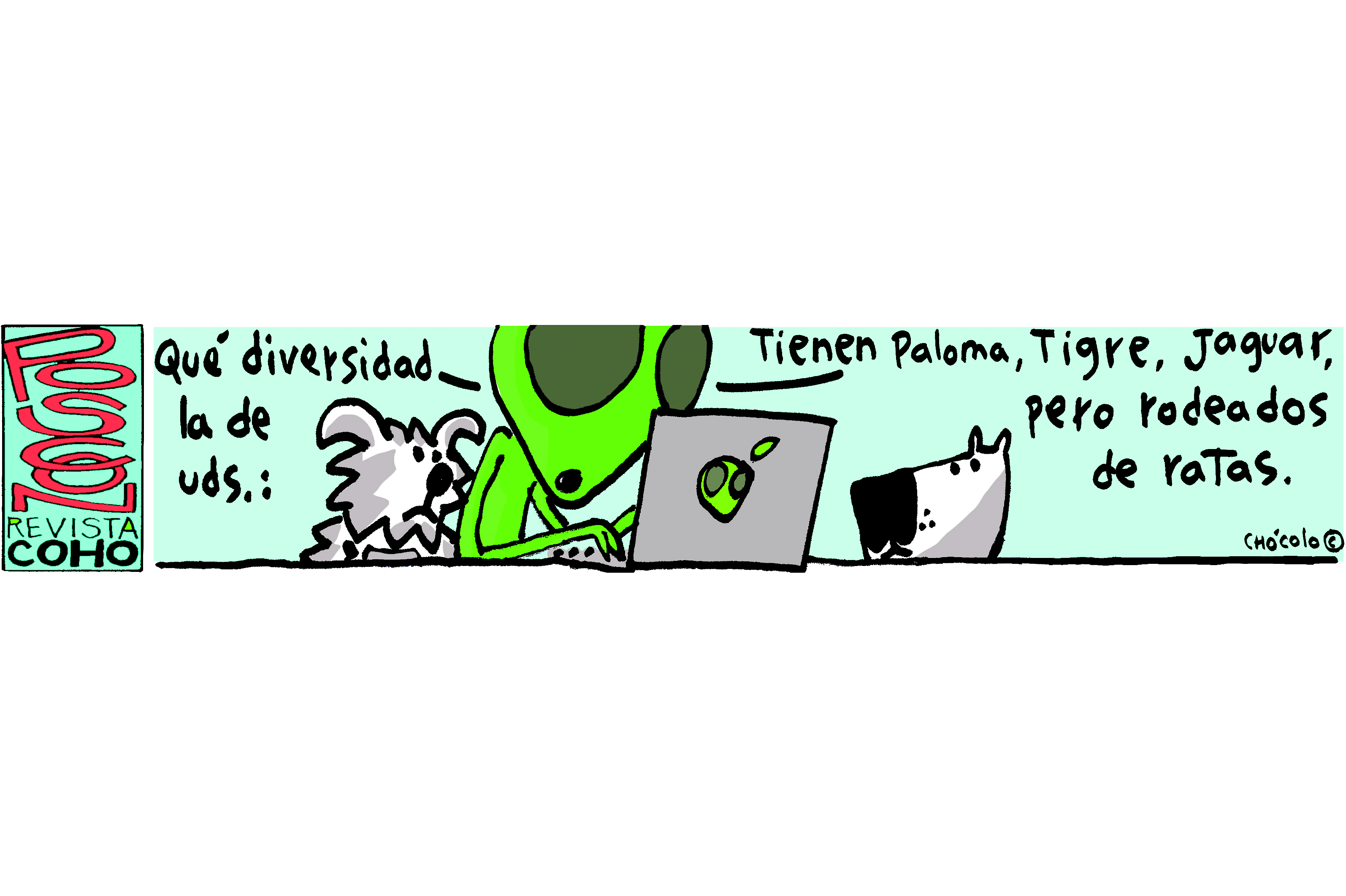 Revista CoHo