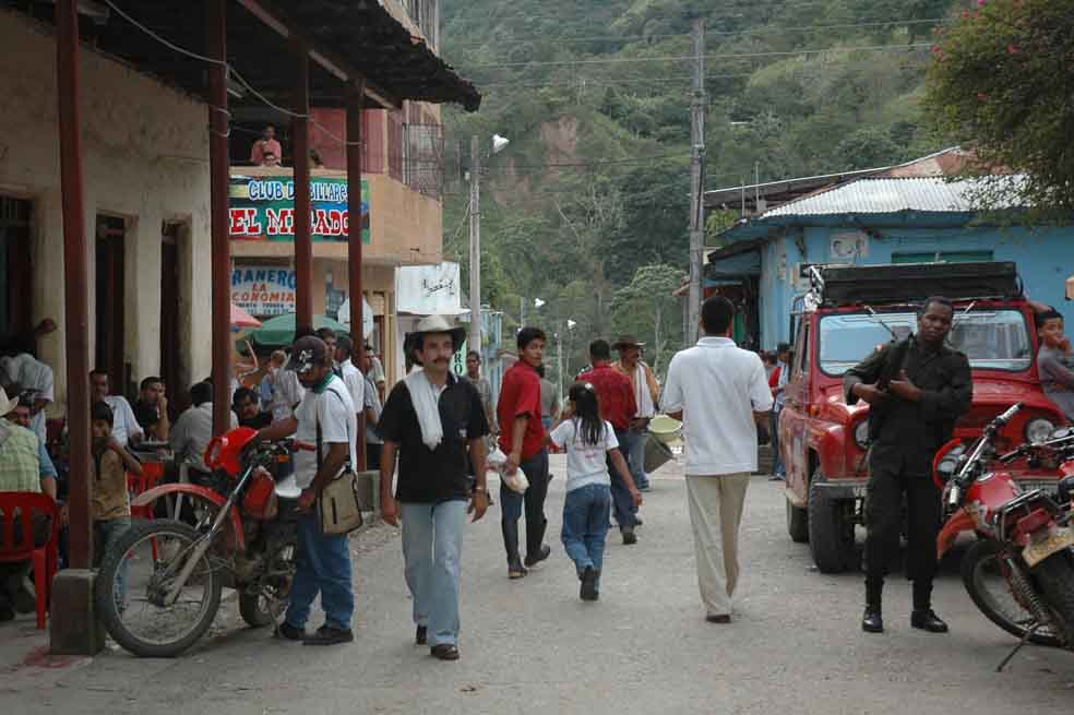 Alerta por epidemia de leishmaniasis en el Tolima