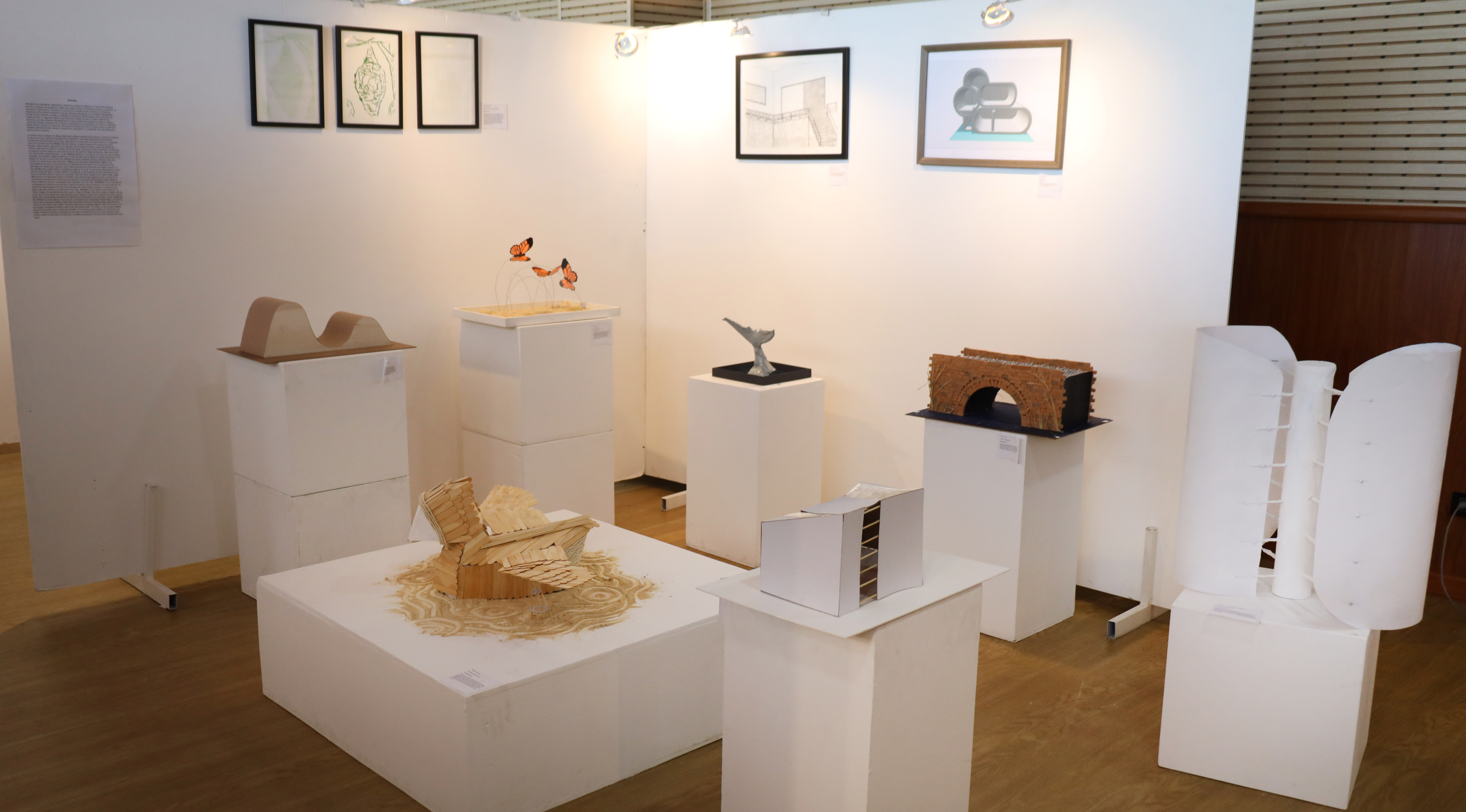 Desde pintura, escultura y diseño textil hasta fotografía, videoarte y arte objeto, esta muestra agrupa 170 obras nacidas del corazón de niños, niñas y jóvenes.