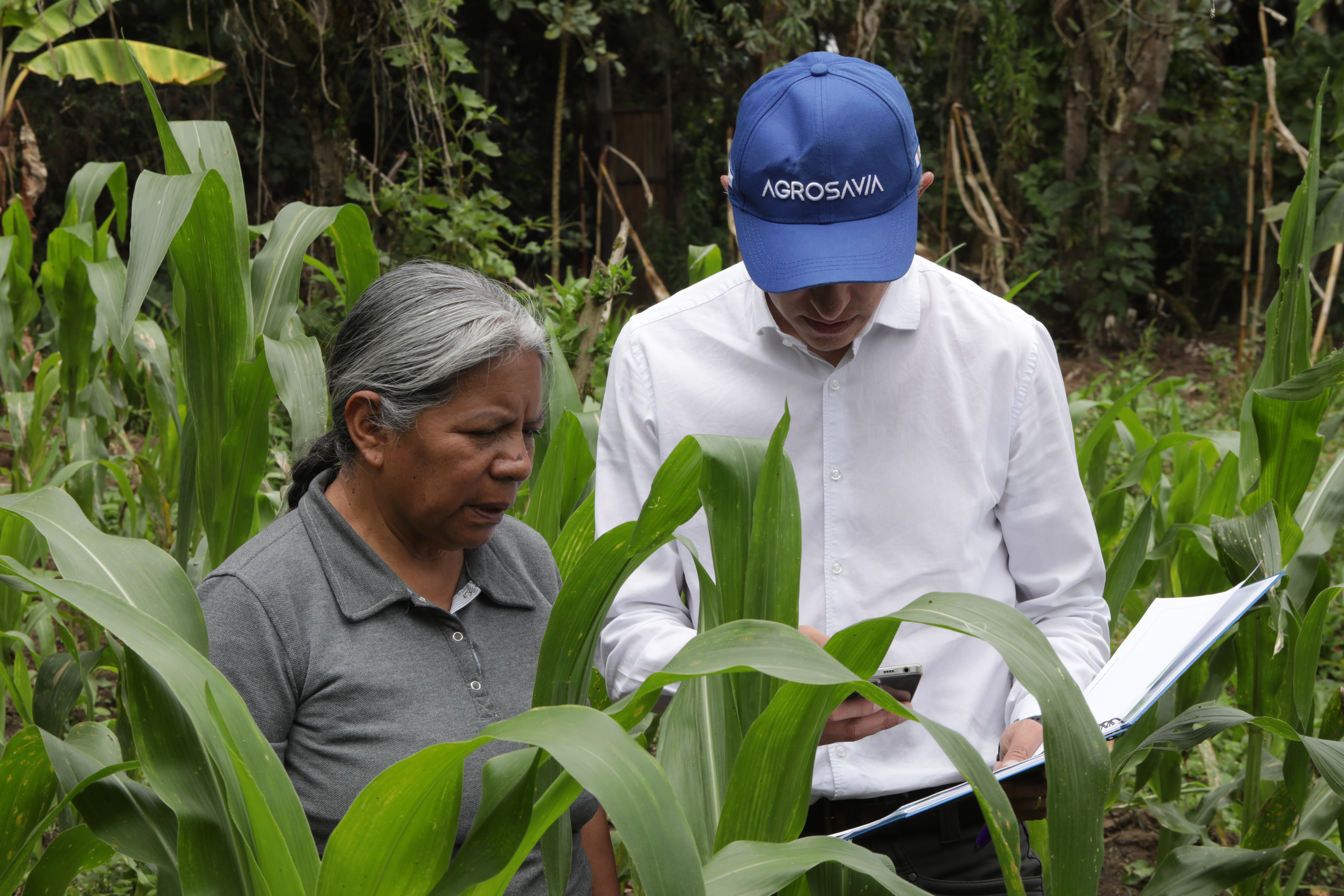 Los retos que marcarán el futuro del agro en el próximo cuatrienio