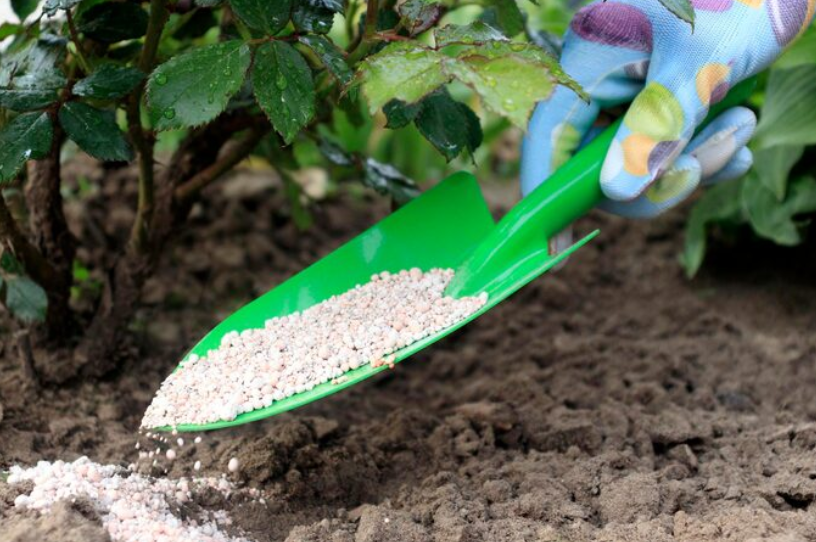 Perlita para plantas: qué es, beneficios y cómo usarla en el sustrato