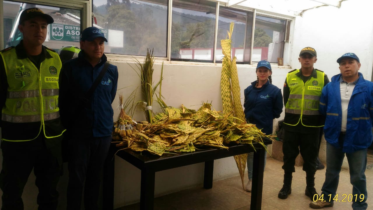 Se han decomisado más de 1.500 ramos de Palma de Cera en Cundinamarca