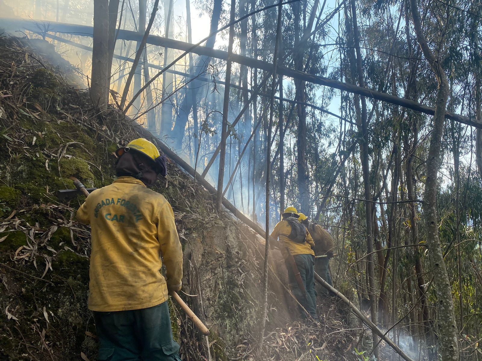 CAR y Defensa Civil se preparan para afrontar incendios forestales