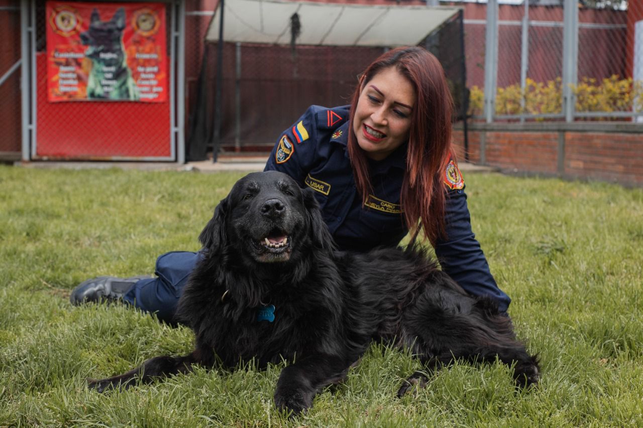 ¿Quiere adoptar un perro bombero? Daky y Fito buscan hogar