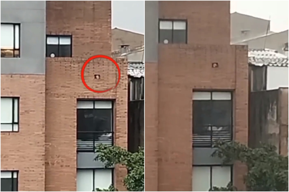 (Video) Denuncian que perro fue dejado en una terraza durante granizada en Bogotá