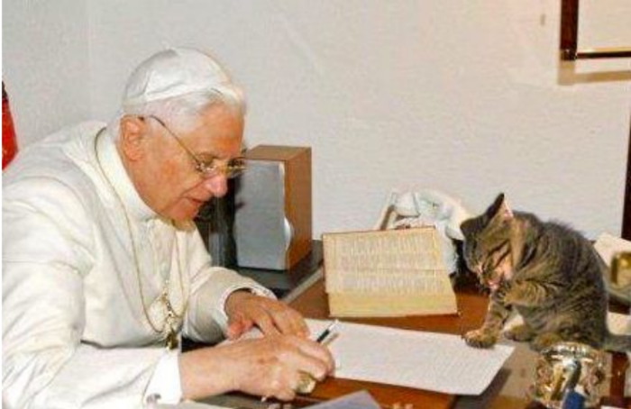 “Gatófilo empedernido”: la relación de Benedicto XVI con los gatos